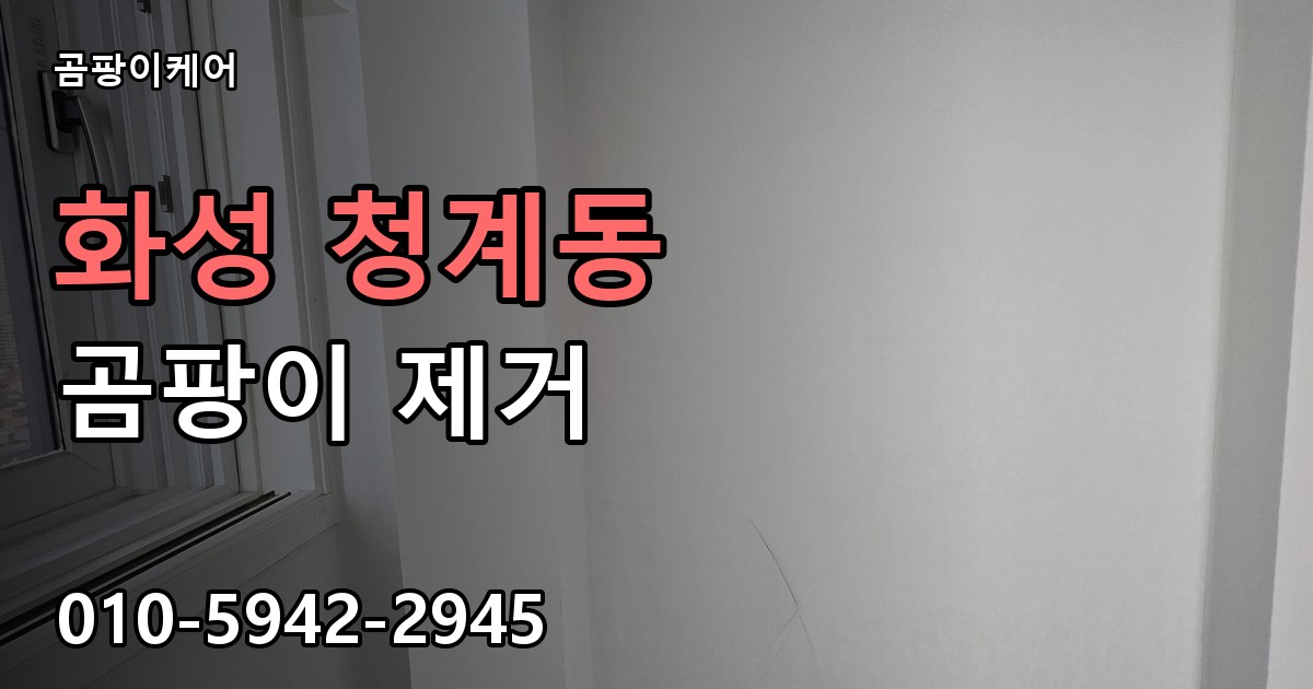 화성 청계동 곰팡이 제거 - 곰팡이케어 실제 시공 현장