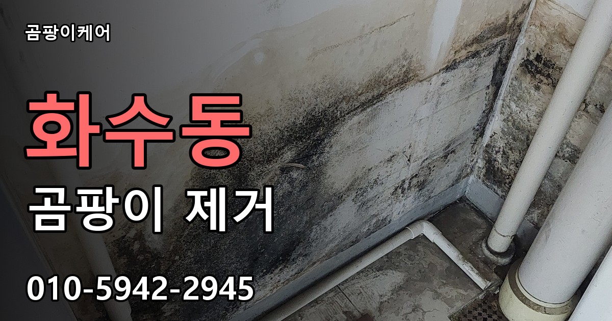 화수동 곰팡이 제거 - 곰팡이케어 실제 시공 현장