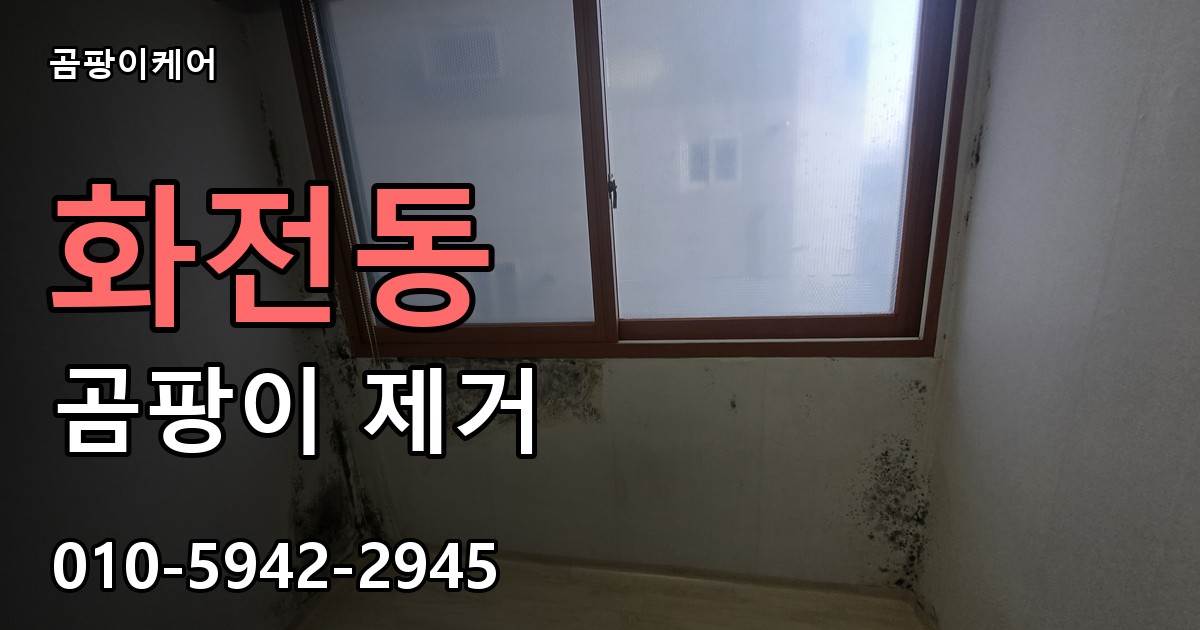 화전동 곰팡이 제거 - 곰팡이케어 실제 시공 현장