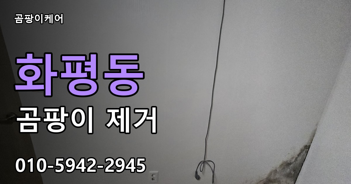 화평동 곰팡이 제거 - 곰팡이케어 실제 시공 현장
