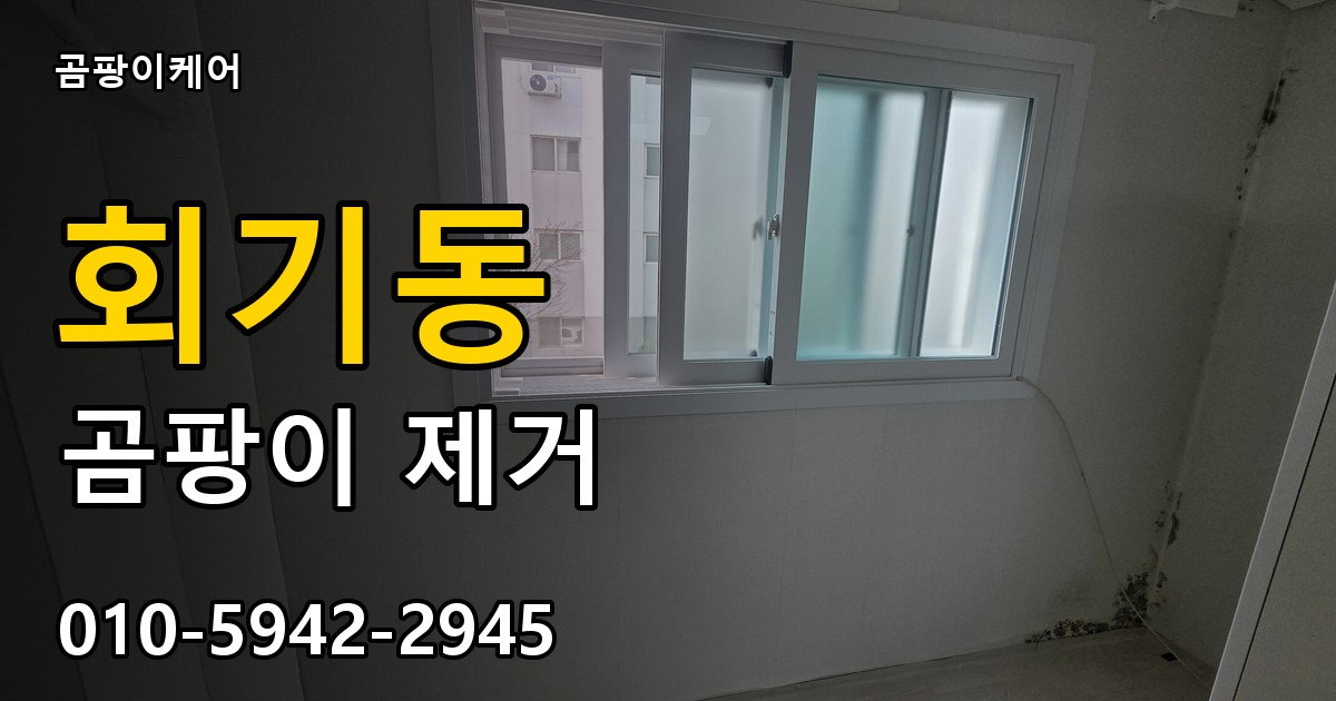 회기동 곰팡이 제거 - 곰팡이케어 실제 시공 현장