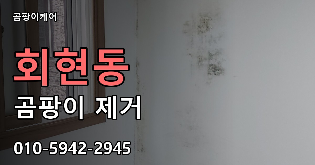 회현동 곰팡이 제거 - 곰팡이케어 실제 시공 현장