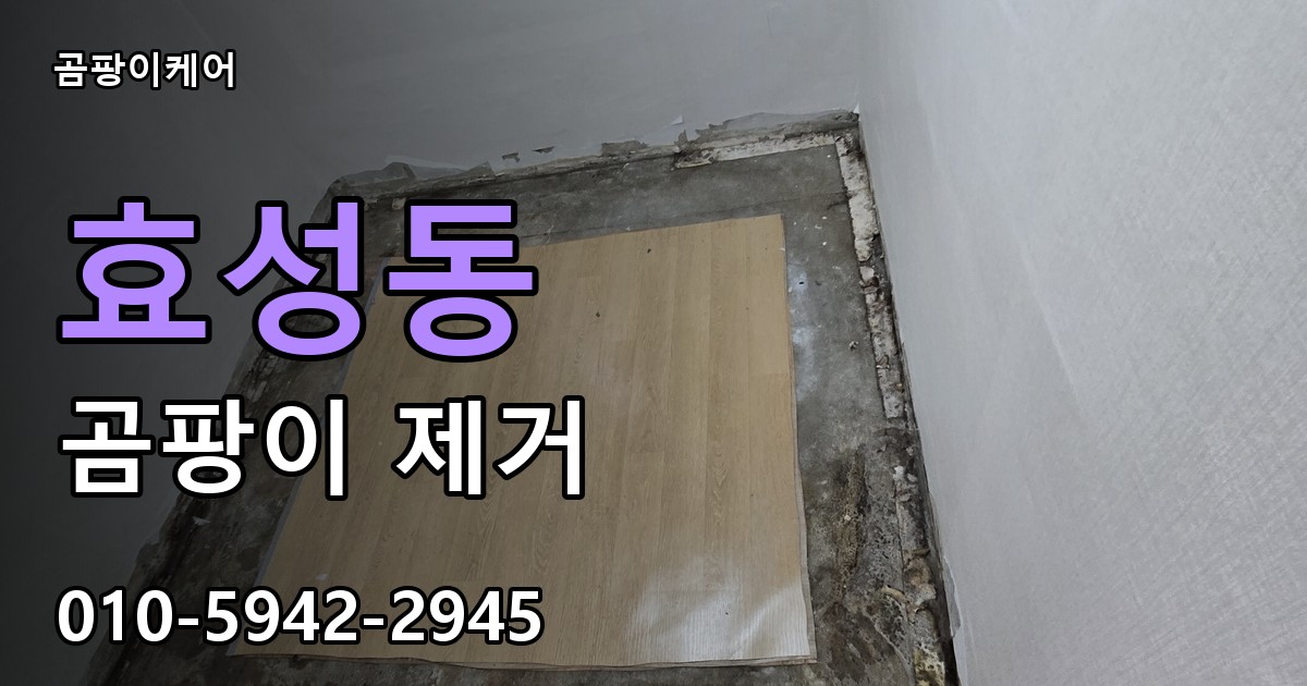 효성동 곰팡이 제거 - 곰팡이케어 실제 시공 현장