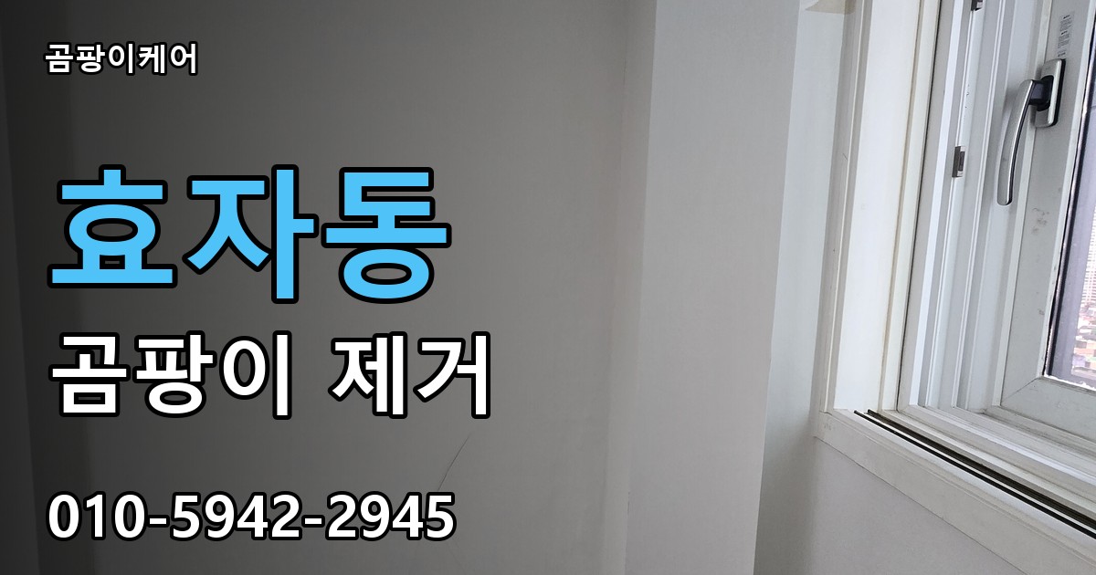 효자동 곰팡이 제거 - 곰팡이케어 실제 시공 현장