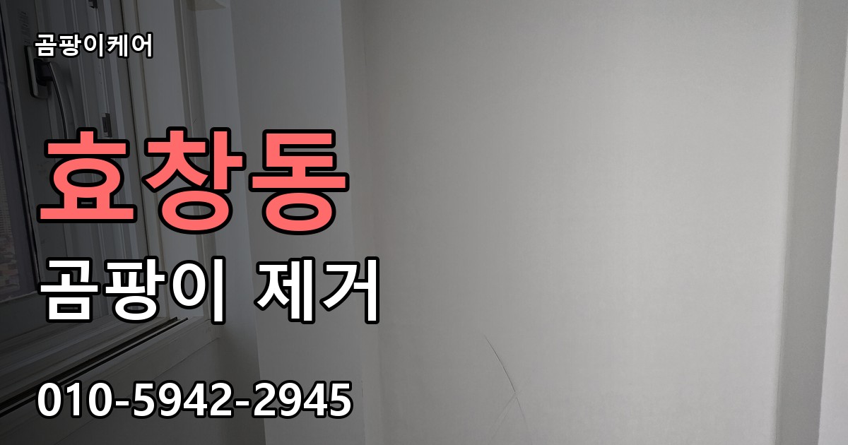 효창동 곰팡이 제거 - 곰팡이케어 실제 시공 현장