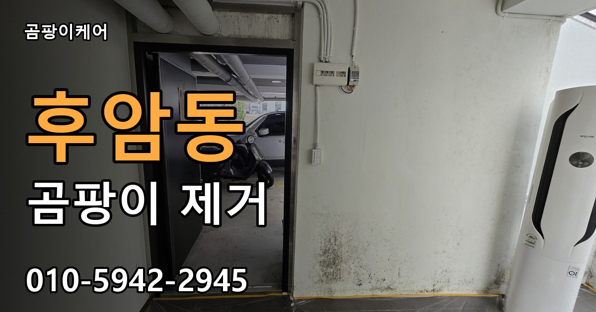 후암동 곰팡이 제거 - 곰팡이케어 실제 시공 현장