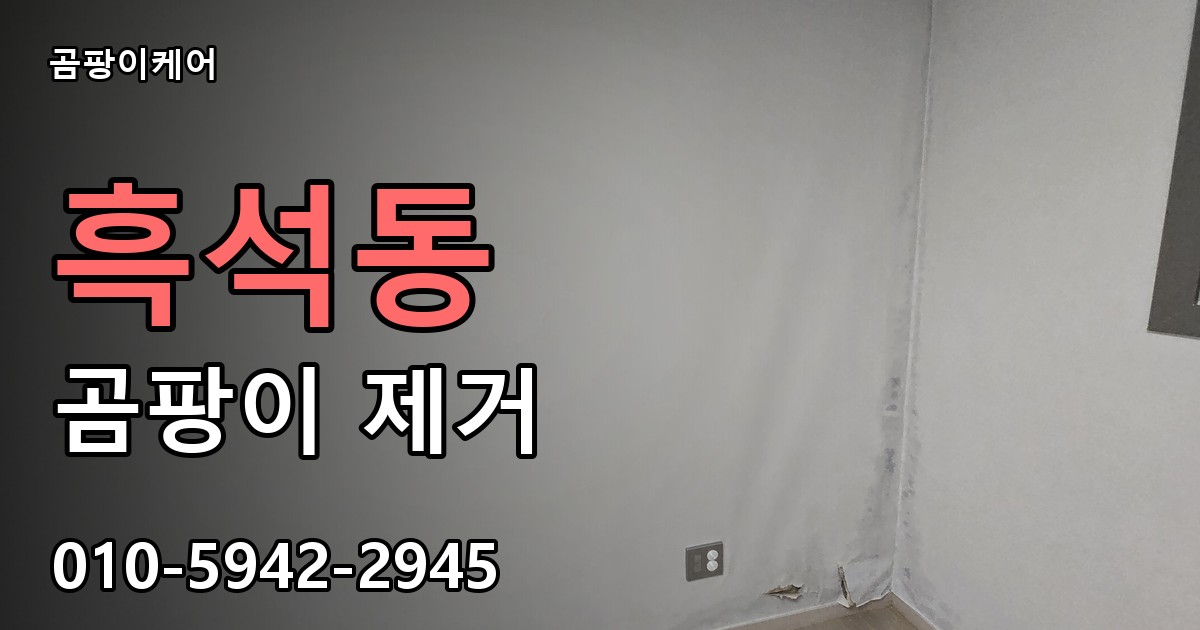 흑석동 곰팡이 제거 - 곰팡이케어 실제 시공 현장