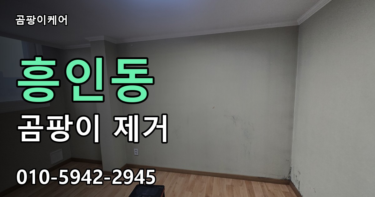 흥인동 곰팡이 제거 - 곰팡이케어 실제 시공 현장