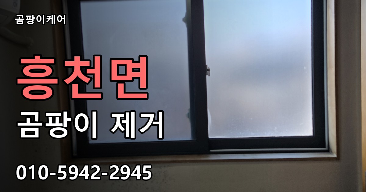 흥천면 곰팡이 제거 - 곰팡이케어 실제 시공 현장